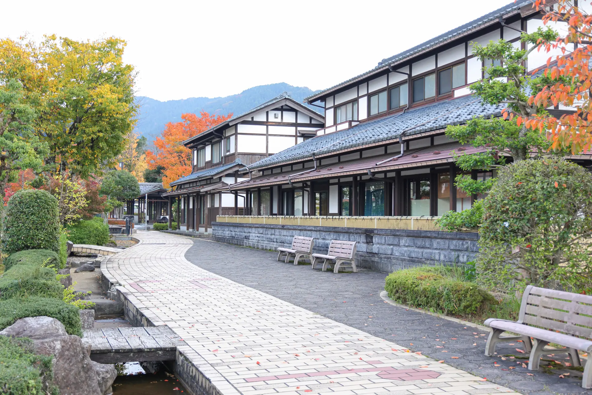 The 230-meter-long Washi no Sato Street is lined with traditional houses, creating an atmosphere that reflects the rich heritage of Echizen Washi.