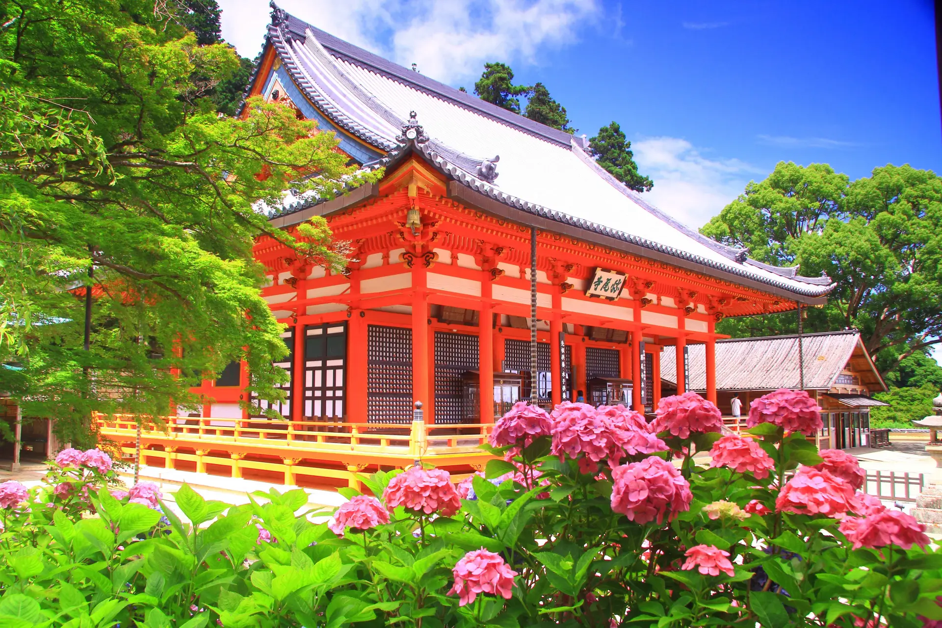 Renowned as a "Temple of Flowers," featuring hydrangeas in early summer and cherry blossoms in spring.