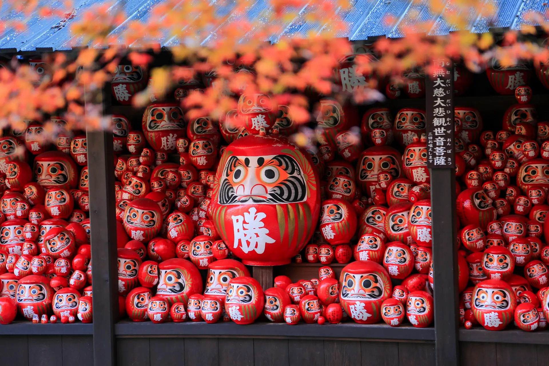 A unique sight created by rows of "Kachi Daruma" dolls dedicated by worshippers on the offering shelf. 