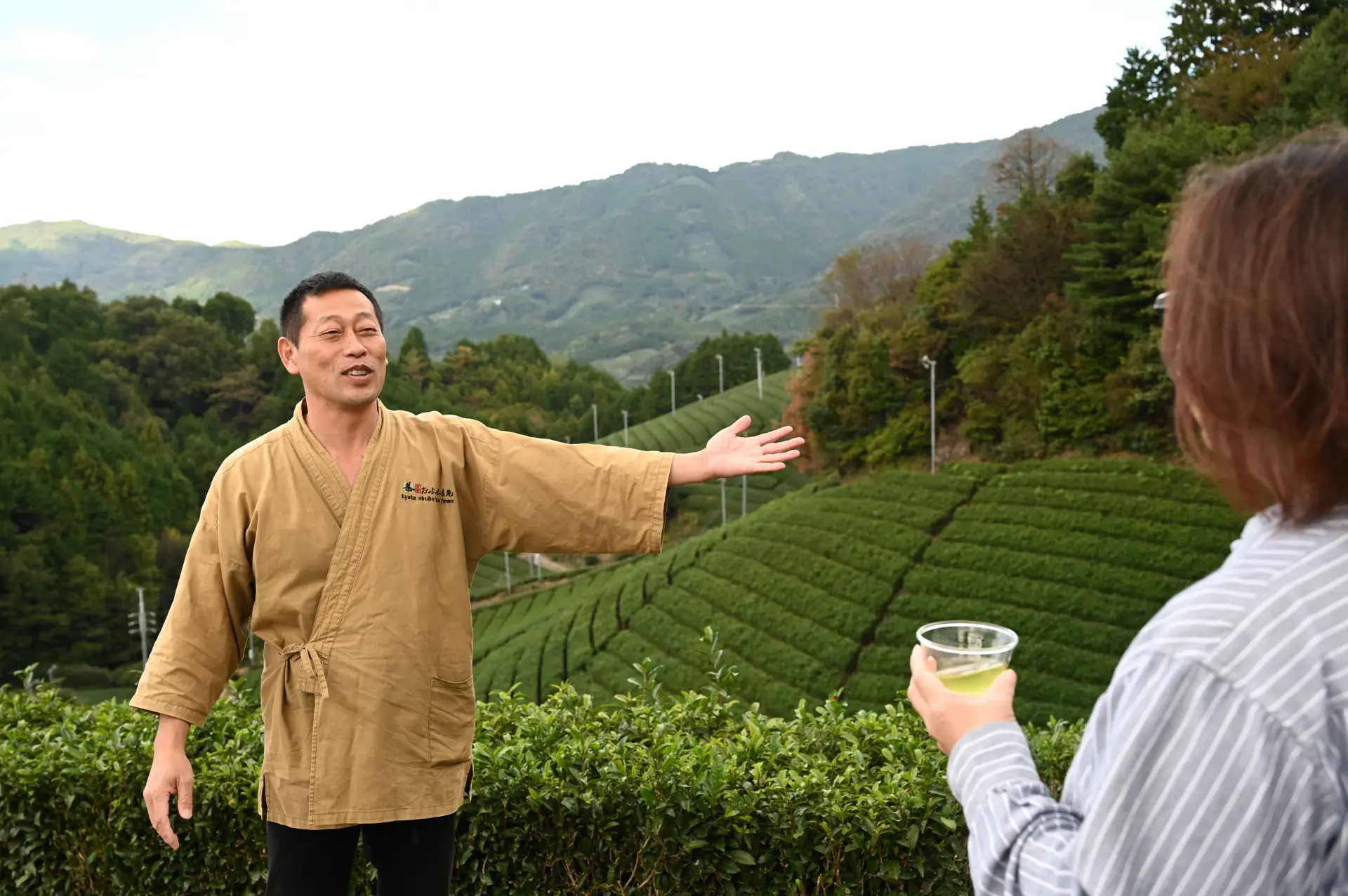 A tea farm tour while enjoying a cup of Japanese tea and learning about its culture.