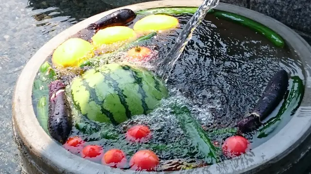 【滋賀県】琵琶湖畔の暮らしや自然から、水の恵みを感じる旅