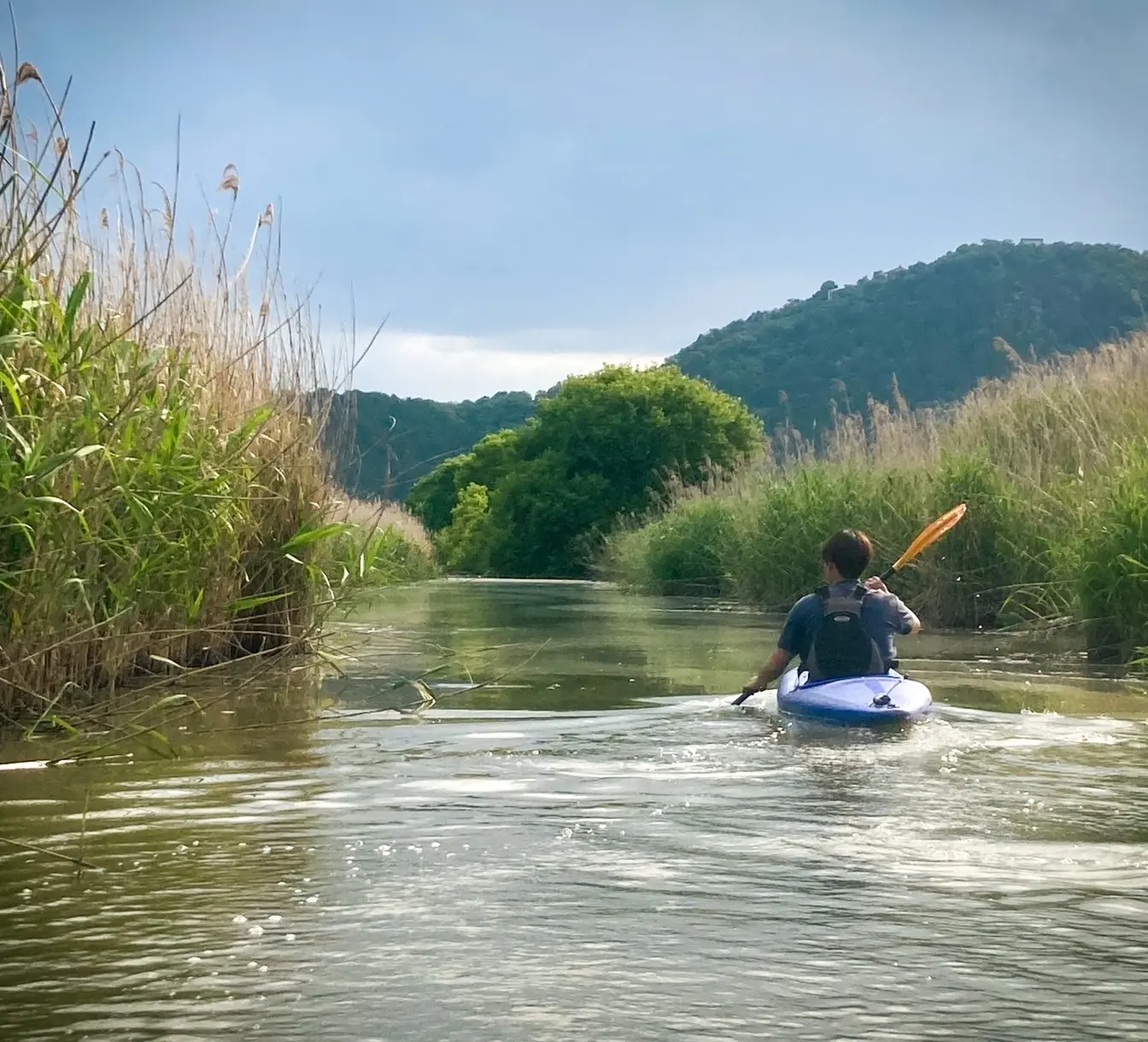 Heading toward one of Lake Biwa’s original landscapes, the vast reed beds (Yoshi-hara Zone).