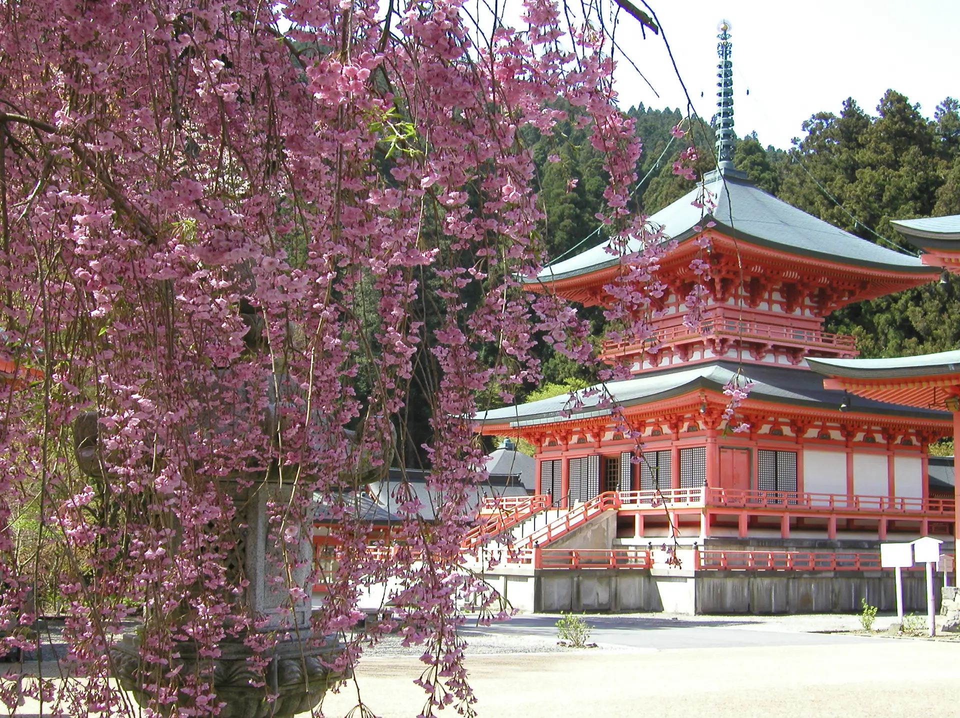 東塔エリアにある「法華総持院東塔」。春には枝垂れ桜が彩る