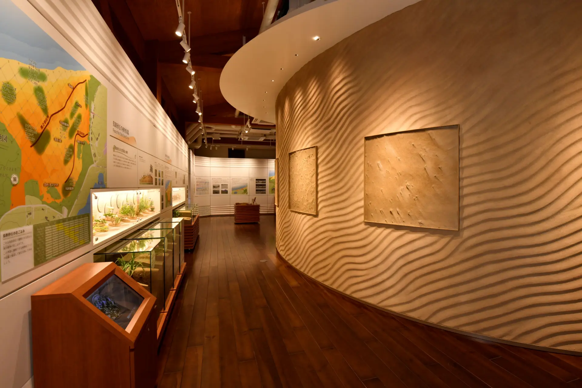 The Sunakura walls were molded using real sand ripples from the actual dunes, available for you to touch and explore with your fingertips.