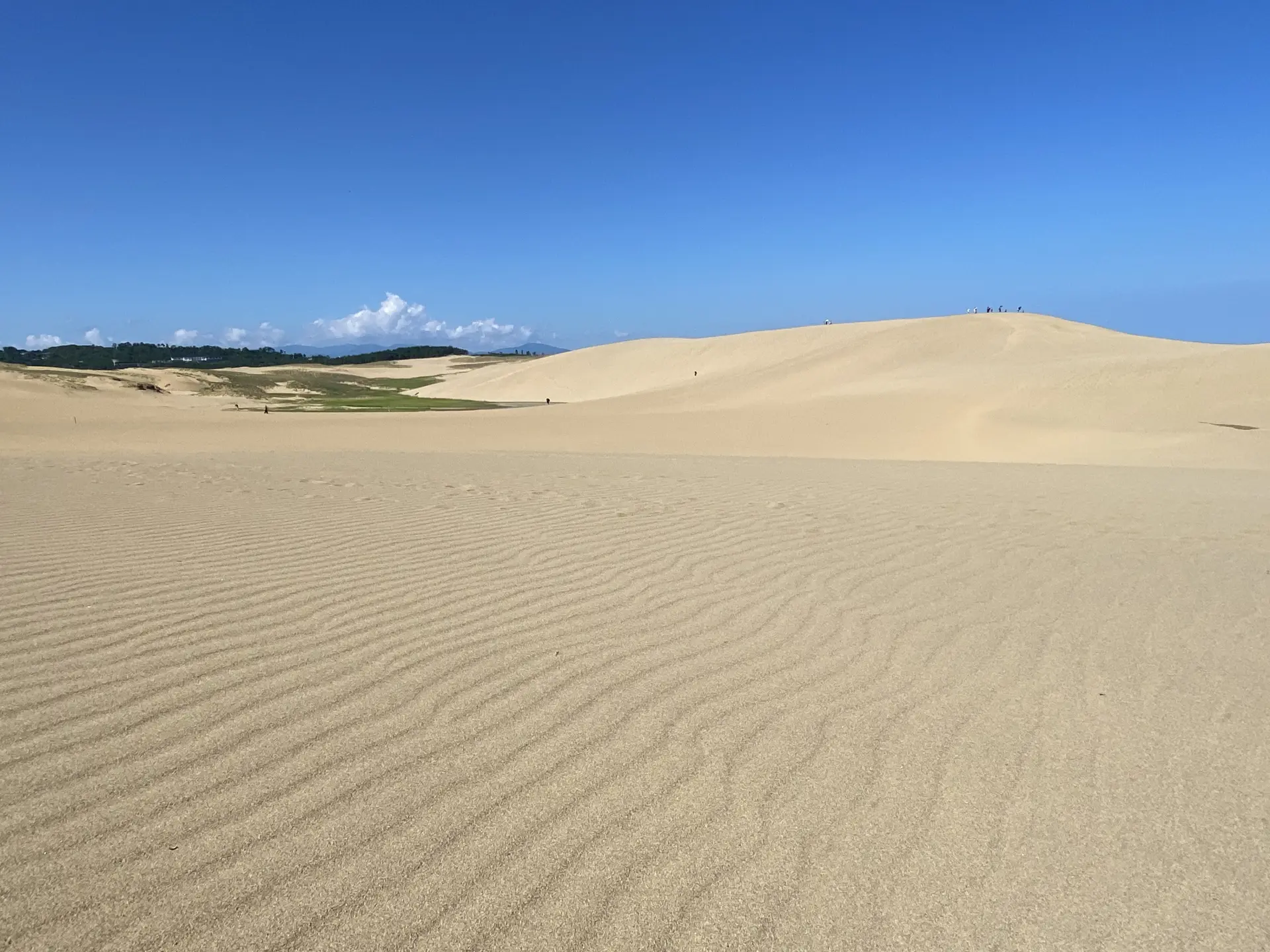 The wind-carved sand ripples, known as fūmon, are formed as the shifting sands move with the breeze. 