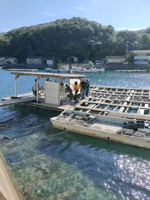 養殖筏で、真珠貝網を見学