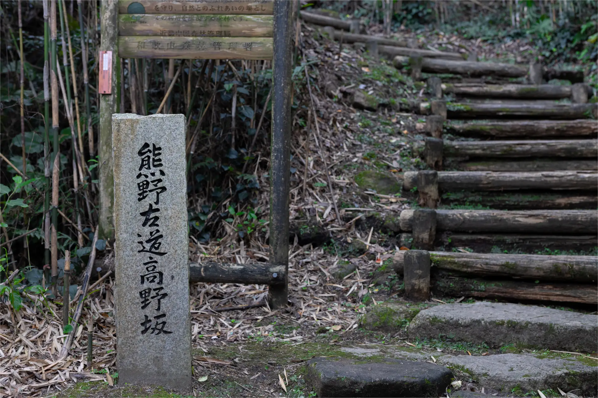 A beginner-friendly Kumano Kodo trail that can be comfortably walked in sneakers, making it an easy and accessible way to experience the ancient pilgrimage route.