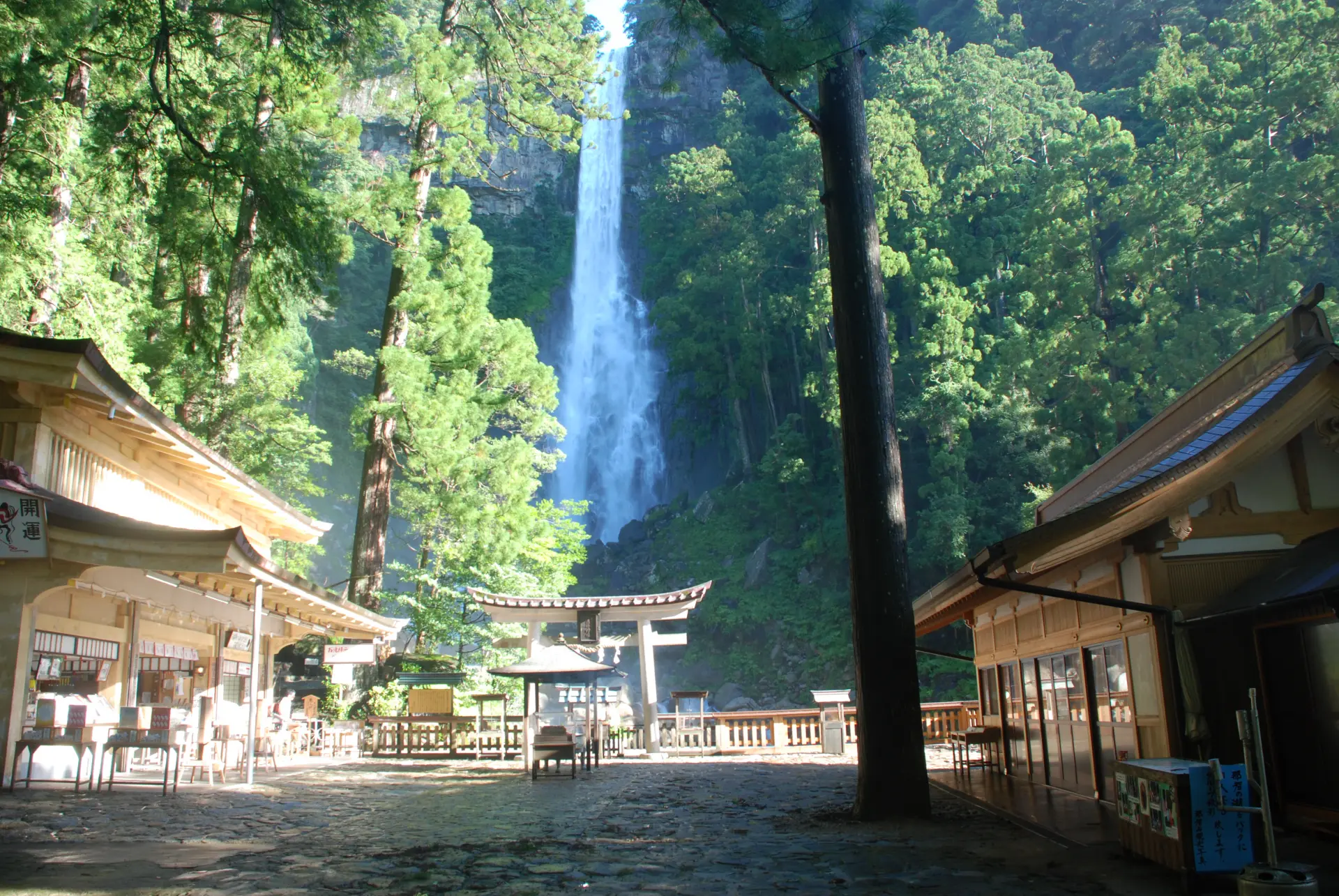 Nachi Falls, one of Japan’s Three Great Waterfalls, boasts a breathtaking 133-meter drop, making it the tallest waterfall in Japan!