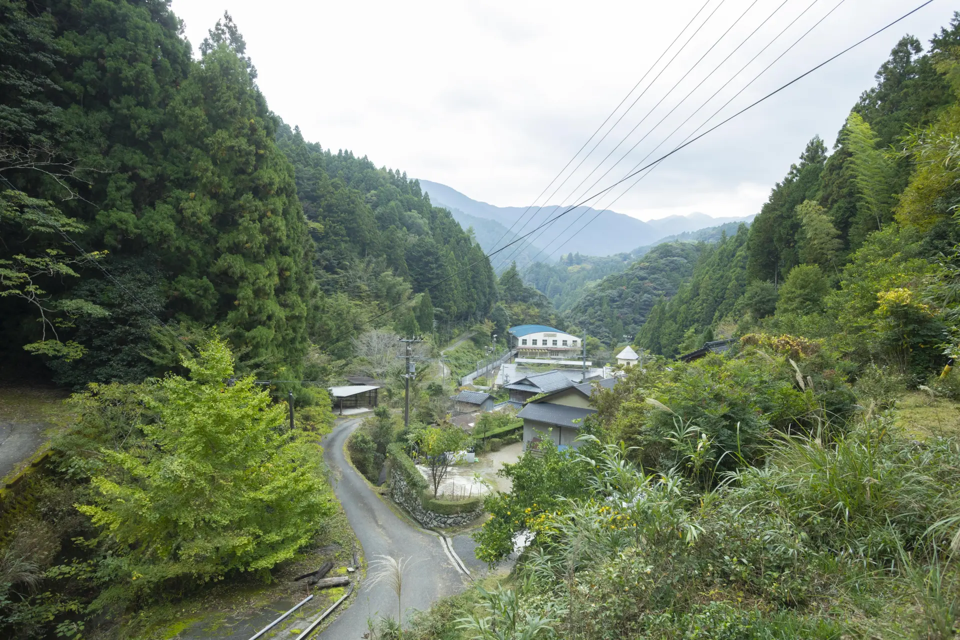 Driving through Kamikatsu, where nature and human life coexist in harmony, on the way to the next destination