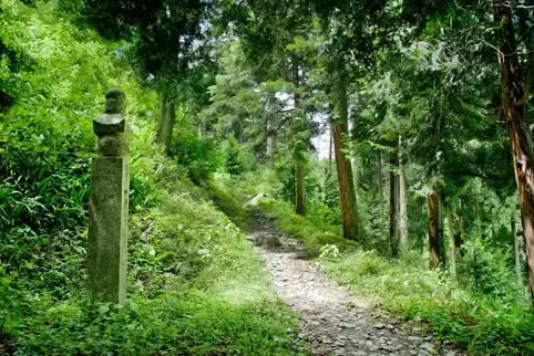 Mt. Koya