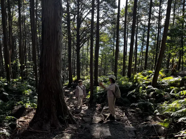 5 Local Experiences Not Found in Guidebooks: Mie Edition