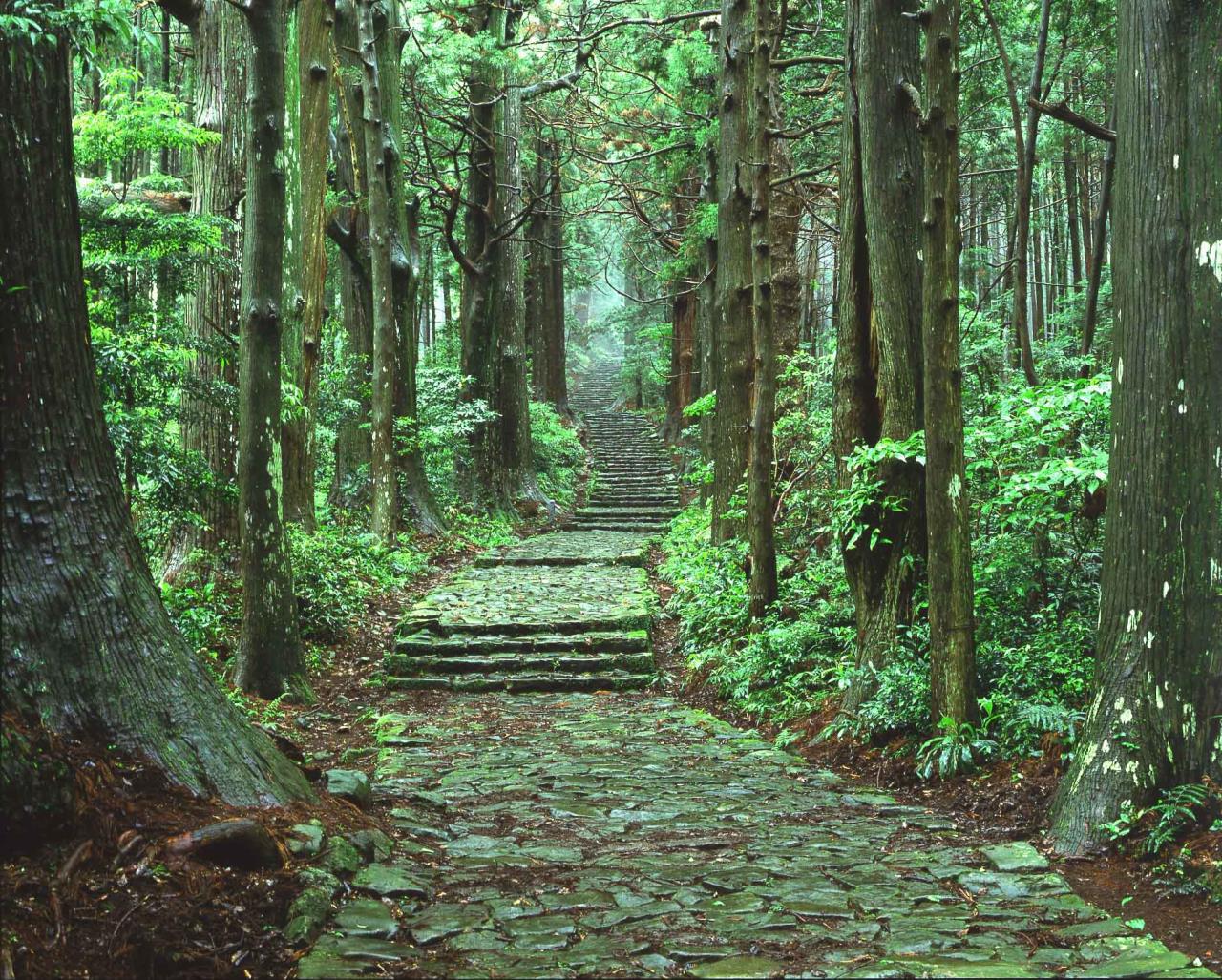 Exploring Mt. Nachi and the Daimonzaka Slope dressed in costumes of the ...