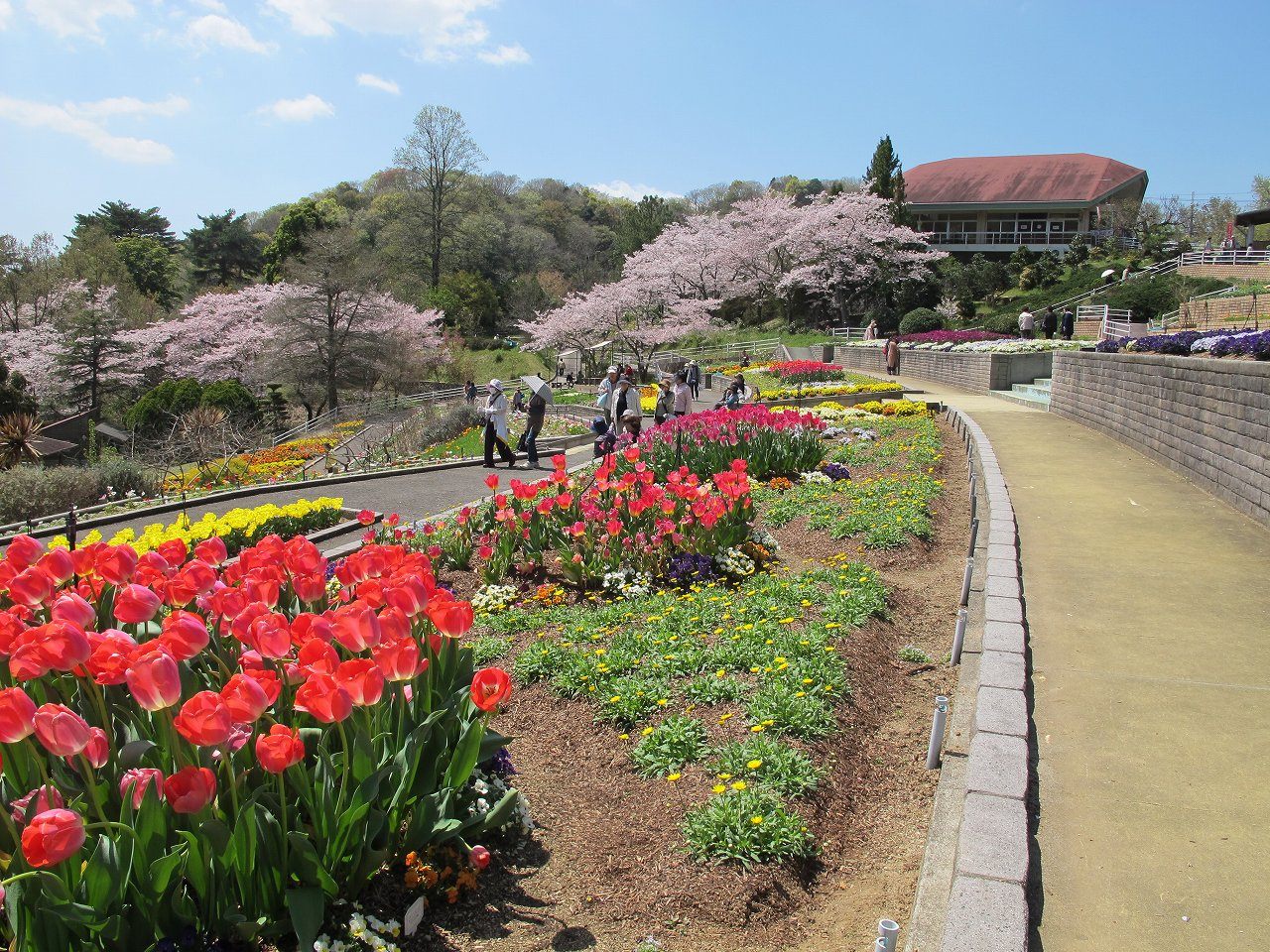和歌山県植物公園 緑花センター - 見どころ、交通 & 周辺情報 | The 
