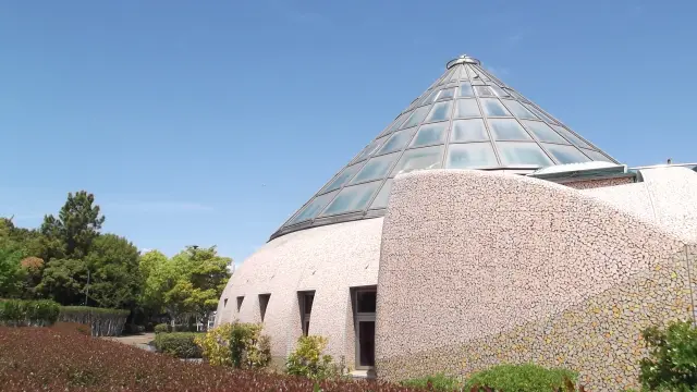 Kaizuka City Museum of Natural History