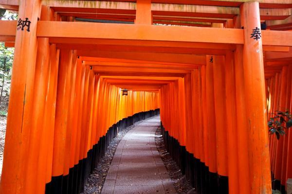 One Day in Kyoto—Tenryuji Temple and Bamboo Grove–Arashiyama–Kinkakuji–Fushimi Inari Taisha—