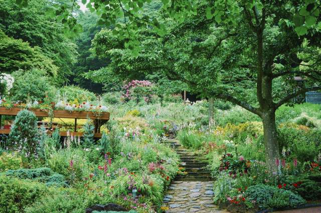 The concept garden of Kobe Nunobiki Herb Gardens: Four Seasons Garden—The Relaxation Garden
神戸布引ハーブ園／ロープウェイ