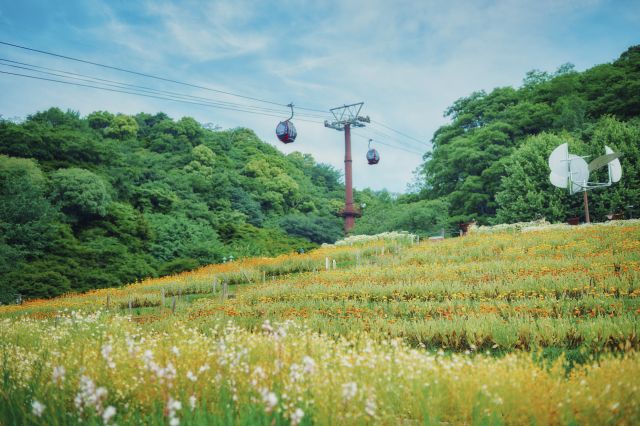 Kaze no Oka Flower Garden, where flowers bloom throughout the seasons
神戸布引ハーブ園／ロープウェイ