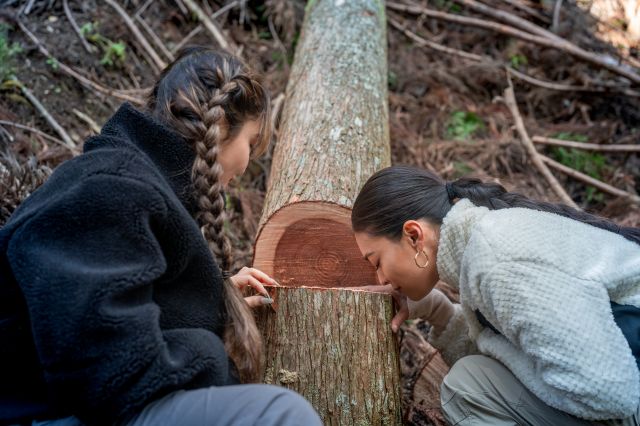 A sweet fragrance of logged Ise cedar.