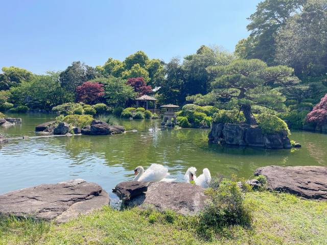 日本庭園散策