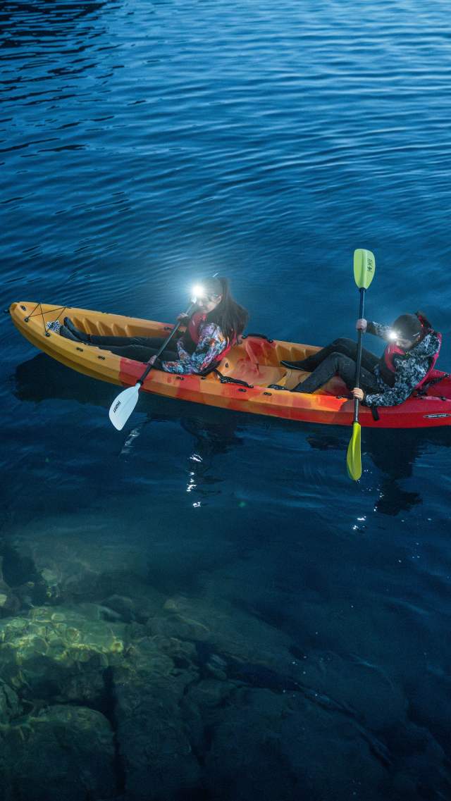 A Noctiluca Night Tour on a Sea Kayak 1