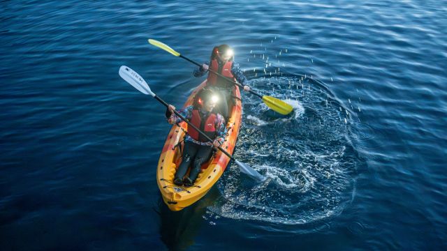 A Noctiluca Night Tour on a Sea Kayak 5