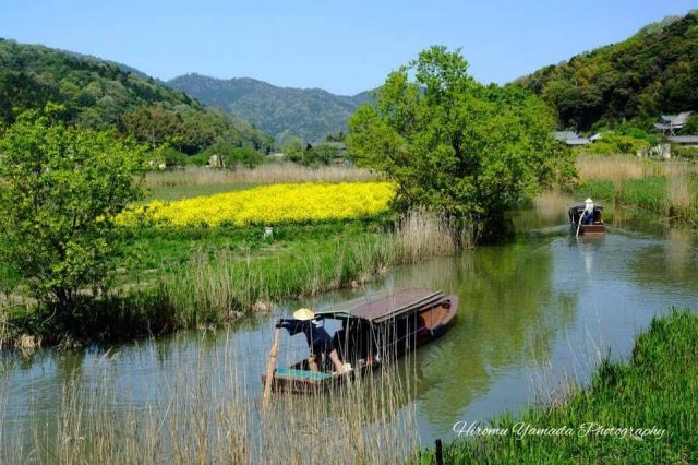 Canal tour in spring