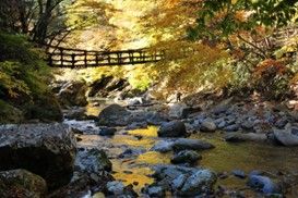 Oku-Iya Niju Kazurabashi ("Oku-Iya Double Vine Bridge")