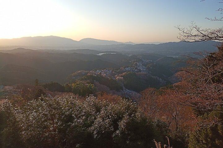 Half-day Walking Tour on Mt. Yoshino with a Private Guide