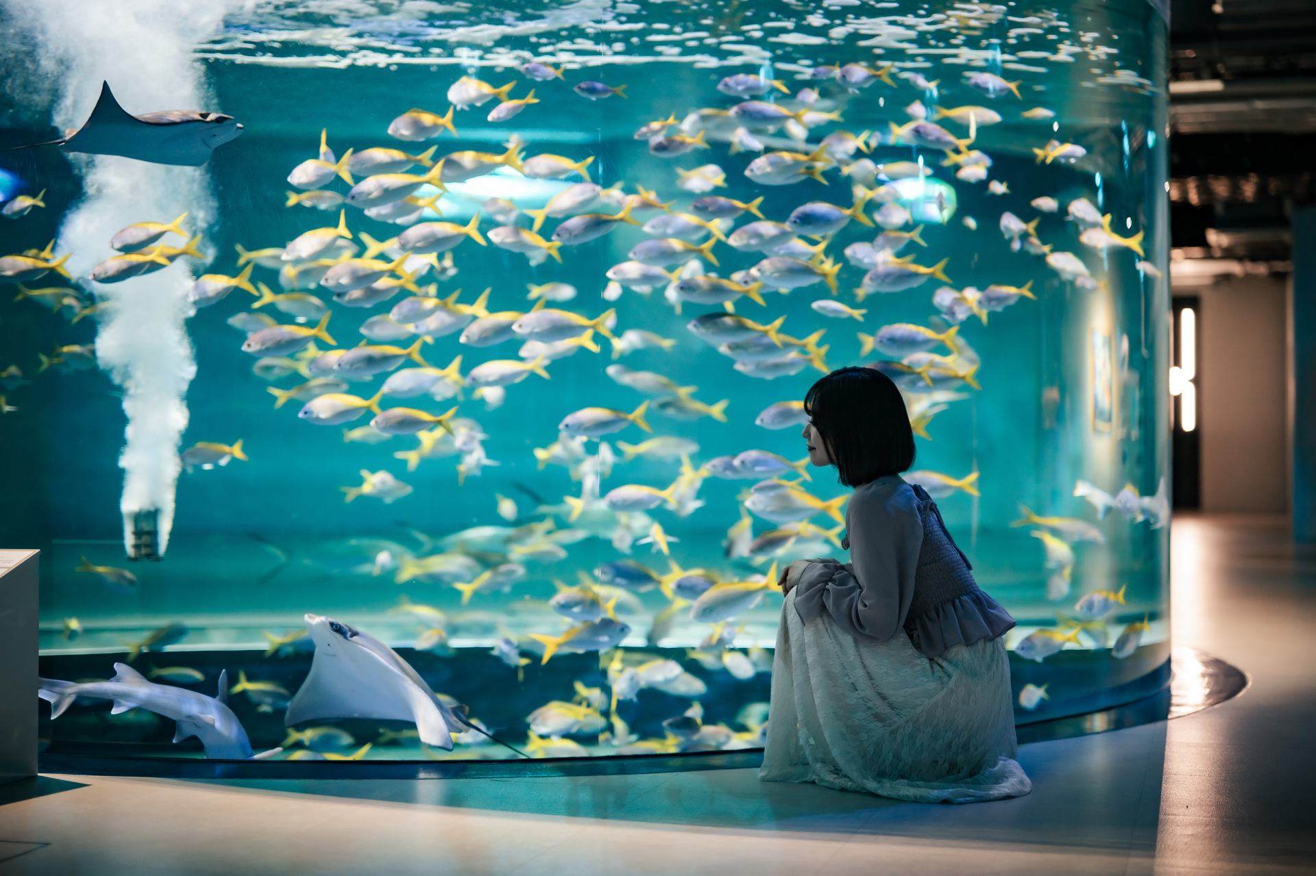 神戸の港の水族館 アトア レクチャーつき入場チケット - 見どころ、交通 & 周辺情報 | The KANSAI Guide - The Origin  of Japan, KANSAI