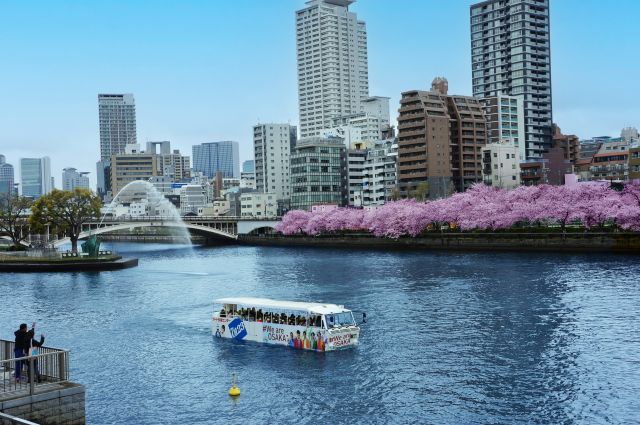 大阪の街を陸と水上から楽しんでゆったりとクルージングできます！
2024 OSAKA DUCKTOUR