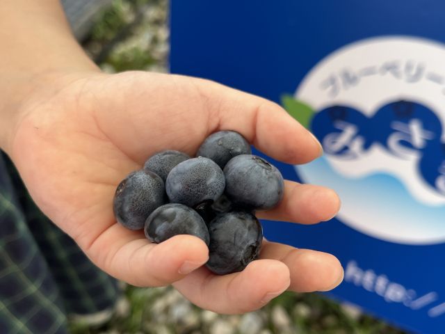 Blueberries