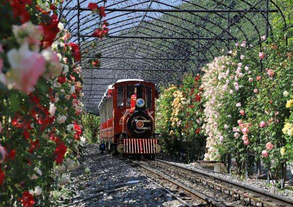 ローザン鉄道ミルキーウェイ　5月下旬の様子