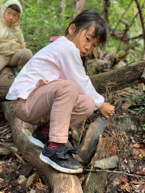 お子様にも登りやすい山での山登りに挑戦。全身で自然を感じよう！