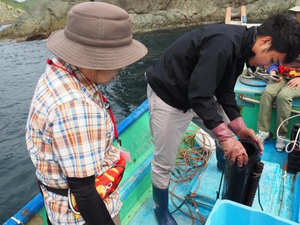 紀伊水道にぽっかり浮かぶ桃源郷“伊島”で漁業・郷土料理体験・ささゆりトレッキング