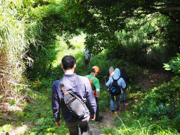 Sasayuri Trekking
