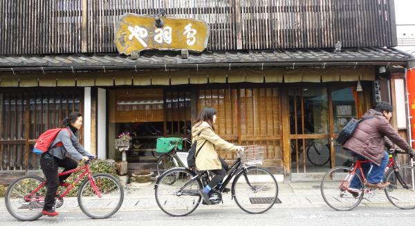 HIKONE RENTAL CYCLE HIKOCHARI