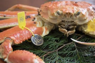 Enjoy the finest Echizen crab ”Kiwami”!