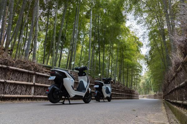 Short tour of Kyoto's unknown attractions by EV scooter（Nishiyama Course）