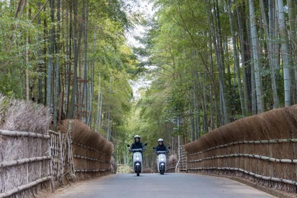 Bamboo Road