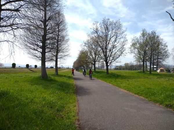 Riding through the greenery along the lakeshore