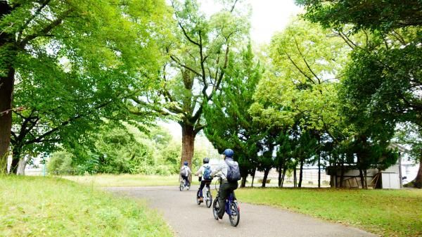 Speed through the greenery