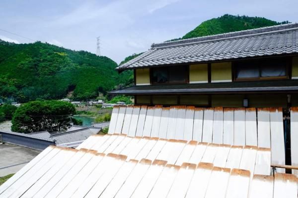 天日干しの光景