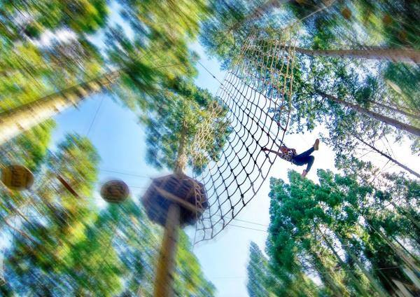 Forest Adventure Ritto: An outdoor park in harmony with nature