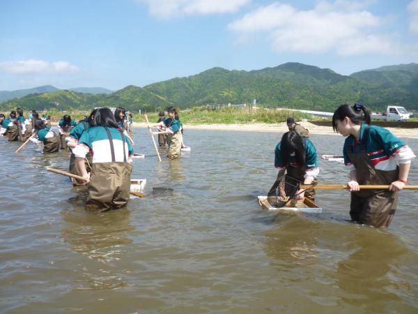 Freshwater Clam Harvesting Activity