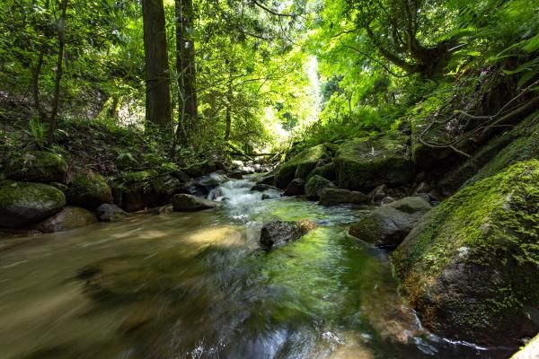 The Tango area's rich water is vital for making Tango chirimen silk