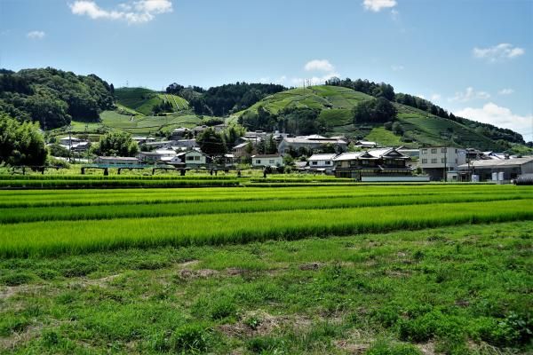 京都府景観資産地