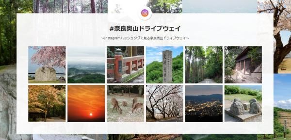 奈良奥山ドライブウェイ ～世界遺産「春日山原始林」の中を行く～