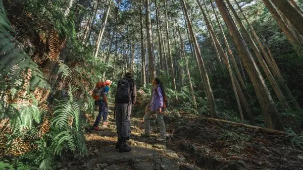 世界遺産熊野古道・馬越峠