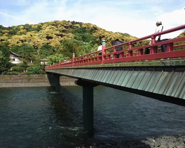 Kyoto Matcha Green Tea Tour in Uji with Lunch