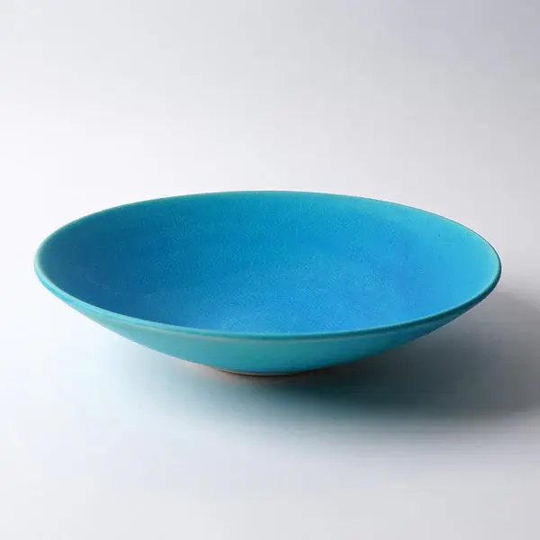 [BIG BOWL] TORUCO | SHIGARAKI WARE